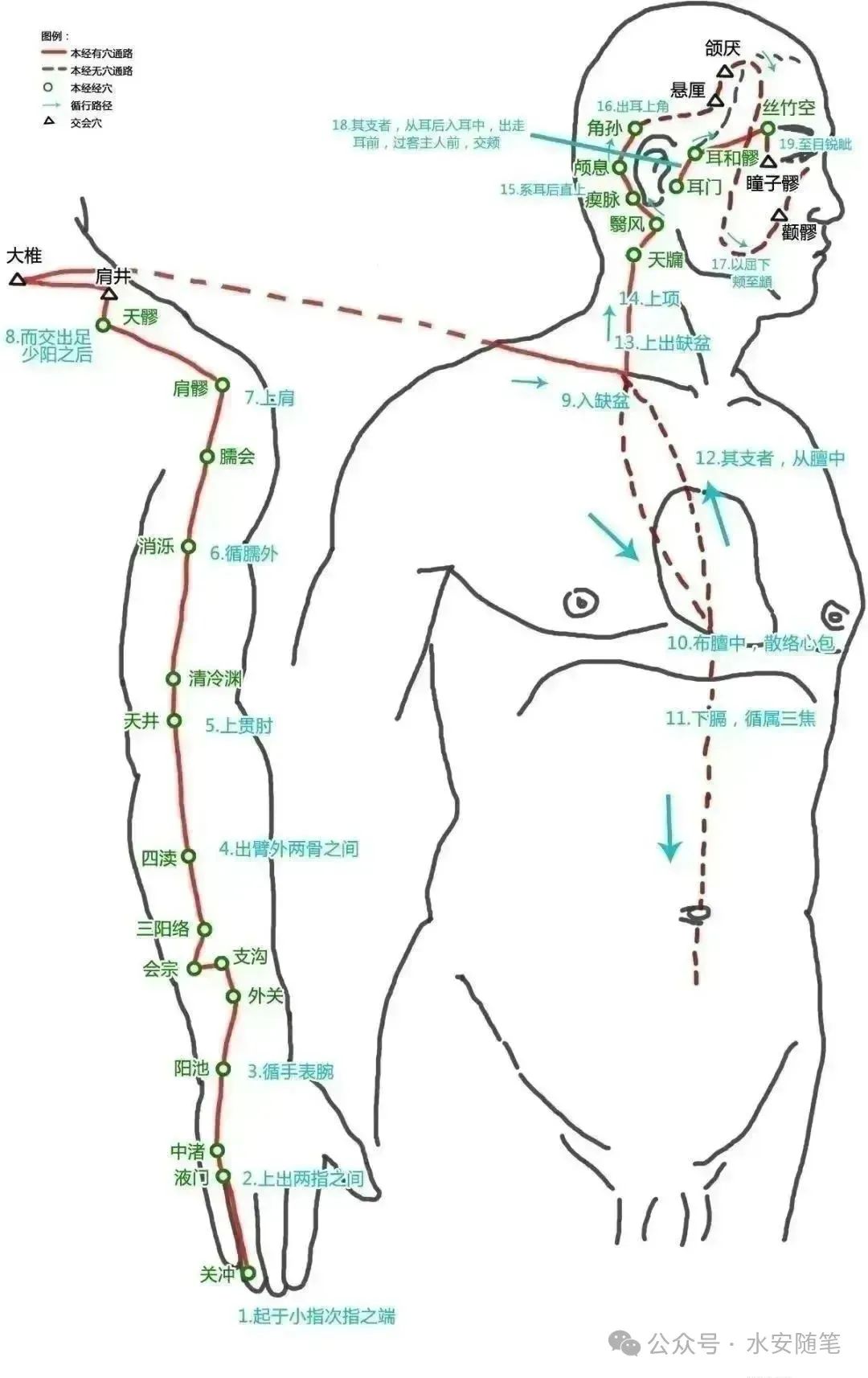 The Pathways of Meridians: A Traditional Chinese Medicine Guide