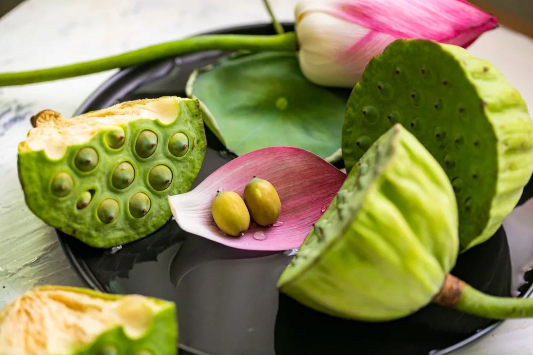 Caution for Children Eating Fruits: Beware of Spleen and Stomach Deficiency and Cold | Review of Zhang Xichun's Medical Cases