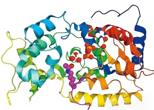 Unlocking the Secrets of Efficient Microbial Fermentation Processes in Traditional Chinese Medicine