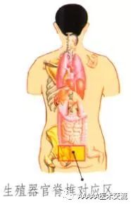 Gua Sha Lesson 21: Sexual Health Care