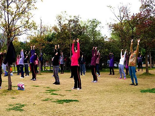 Identification of TCM Constitutions: The Nine Types of Wang Qi's Method