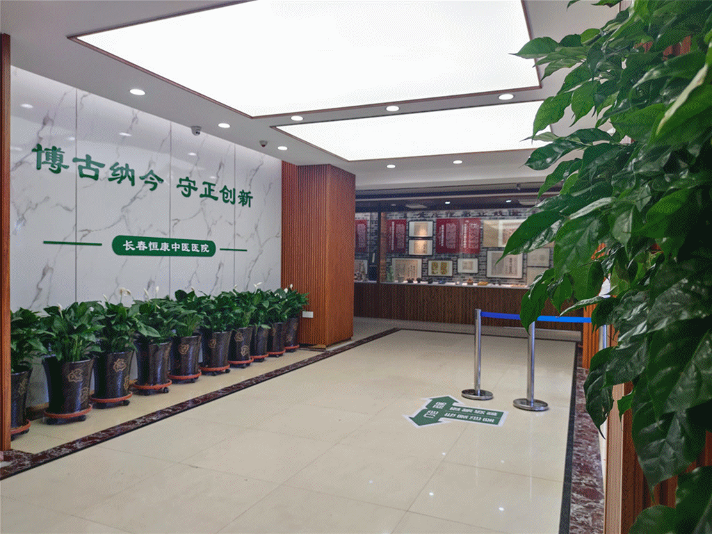 Traditional Chinese Medicine: "Integrating Medicine into Food"! The Therapeutic Effects of Medicinal Cuisine and Key Considerations for Proper Consumption