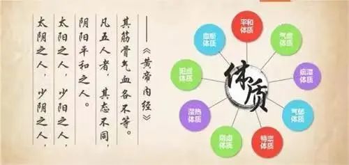 Understanding Qi Deficiency Constitution in Traditional Chinese Medicine
