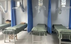 The Unique Therapeutic Approach of Moxibustion in Traditional Chinese Medicine