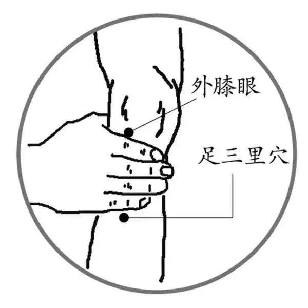 Identification of TCM Constitution - Harmonious Constitution