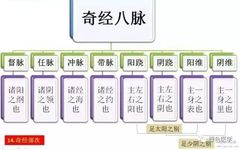 Detailed Explanation of the Eight Extraordinary Meridians