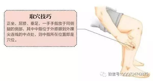 How to Regulate Phlegm-Damp Constitution Without Supplementation?