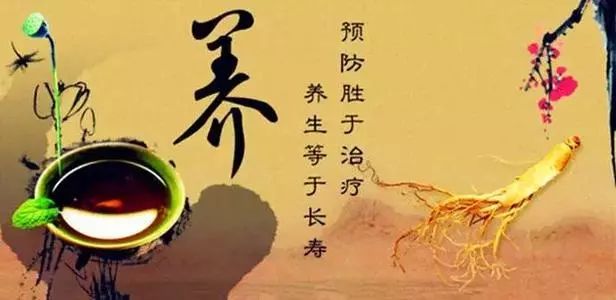 Traditional Chinese Medicine: The Gallbladder as the Chief of the Six Fu Organs with Functions of Storage, Excretion, and Decision-Making