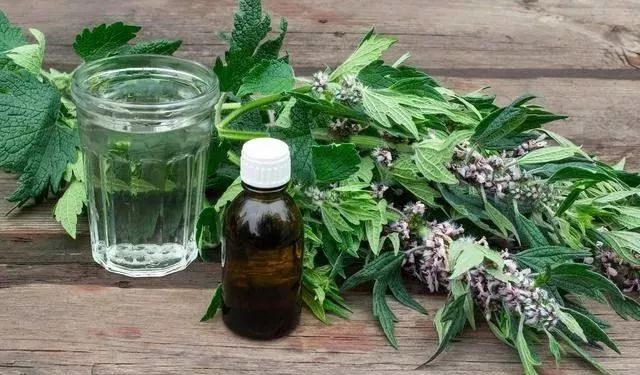 7 Common Herbs for Activating Blood Circulation and Resolving Stasis
