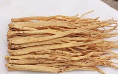 The Dual Role of Food and Medicine: Dang Shen (Codonopsis pilosula)