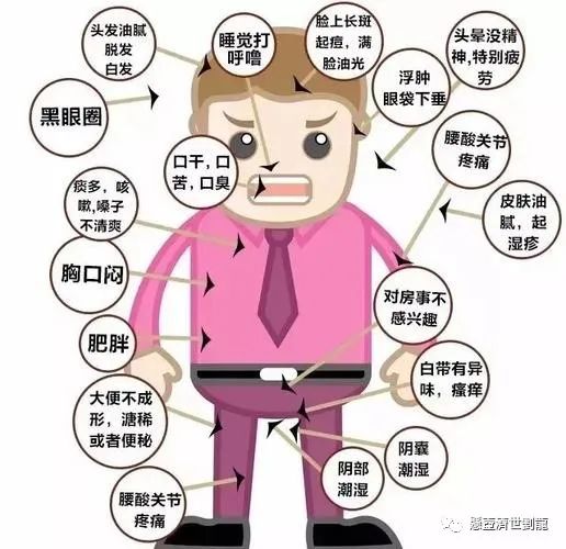 Understanding Spleen and Stomach Yang Deficiency in Traditional Chinese Medicine