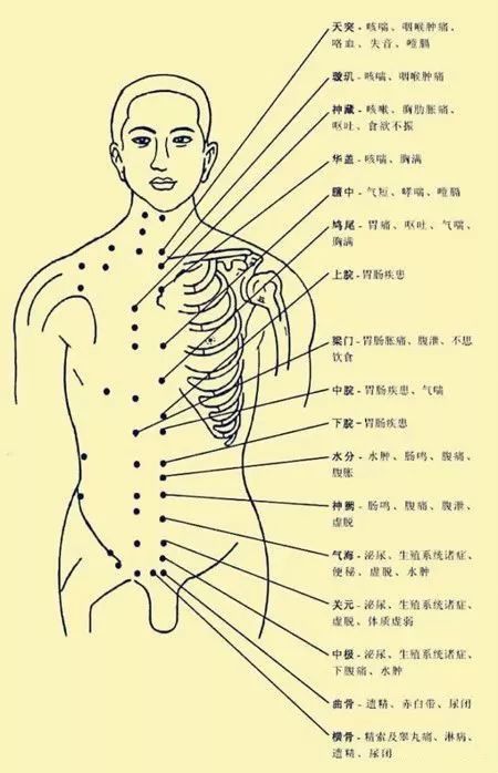 Comprehensive Human Acupuncture Points Chart and Their Functions (A Must-Bookmark)