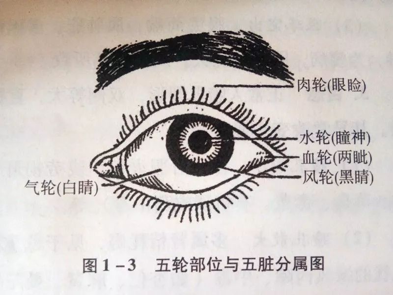 Traditional Chinese Medicine Diagnosis: Summary of Observation Techniques (3)