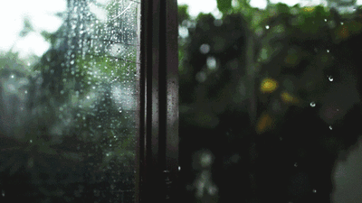 Understanding Damp-Heat and Cold-Damp in Traditional Chinese Medicine