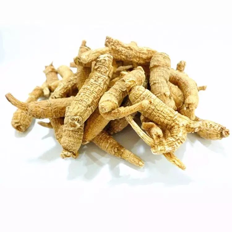 Understanding Dang Shen (Codonopsis pilosula) in Traditional Chinese Medicine