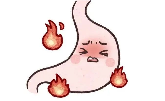 Why Do 'Thin People Have More Deficiency Heat, While Fat People Have More Phlegm-Dampness'?