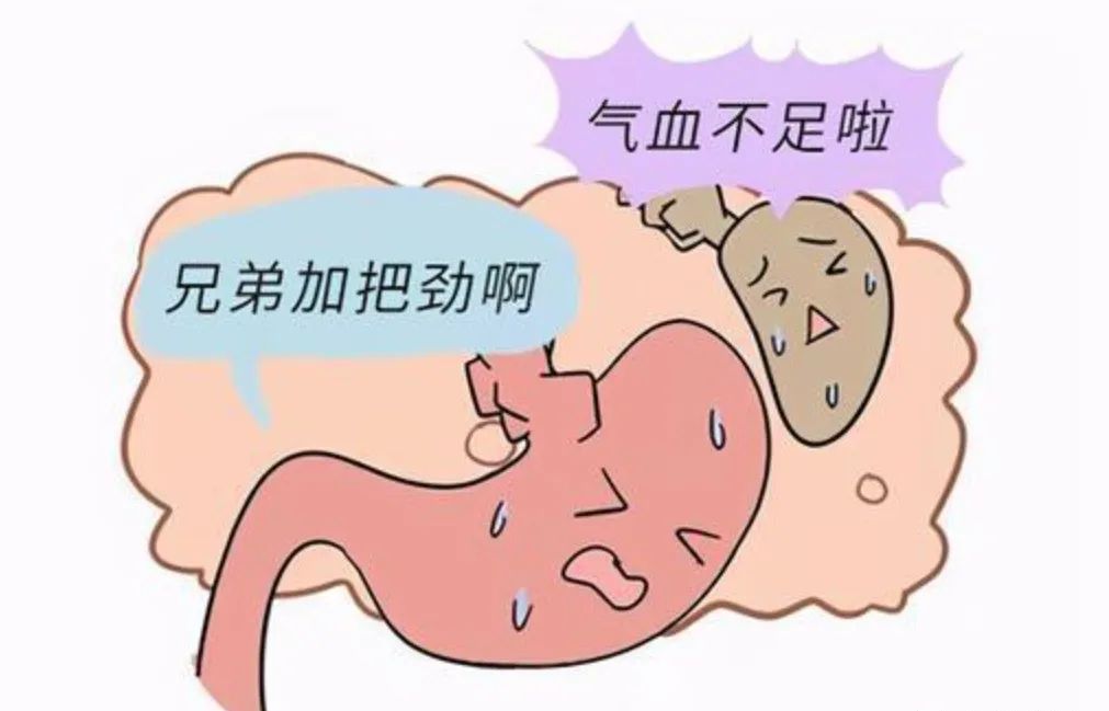 The Impact of Yin-Yang Balance on Quality of Life: The Dangers of Yin Deficiency and the Need for Timely Improvement