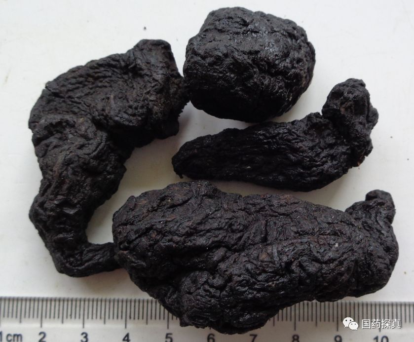 Special Appreciation of Cooked Rehmannia