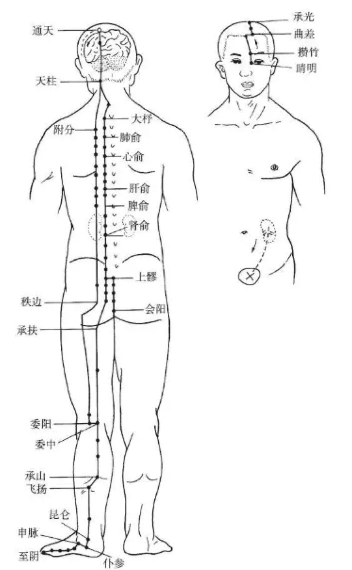 The Pathways and Interconnections of the Twelve Meridians