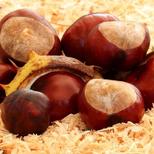 How to Nourish Yang Deficiency and Combat Cold Sensitivity