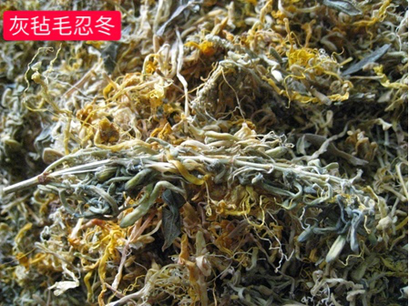 Understanding Honeysuckle: A Comprehensive Guide to Jin Yin Hua