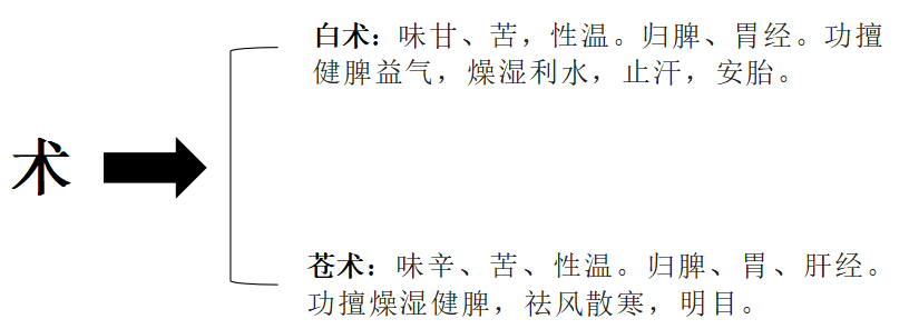 The Sacred Herb for Strengthening the Spleen: Cang Zhu