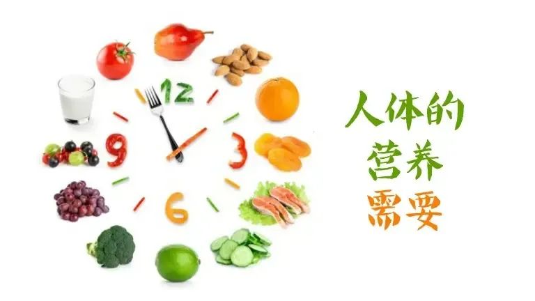 Differences Between Spleen-Stomach Yang Deficiency and Spleen-Stomach Damp-Heat