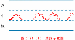 Illustrated Guide to 28 Dynamic Pulse Diagnoses in Traditional Chinese Medicine