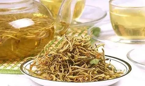 Understanding Jin Yin Hua (Honeysuckle) in Traditional Chinese Medicine