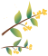 The Four Dimensions of Medicinal Herbs: The Good Minister
