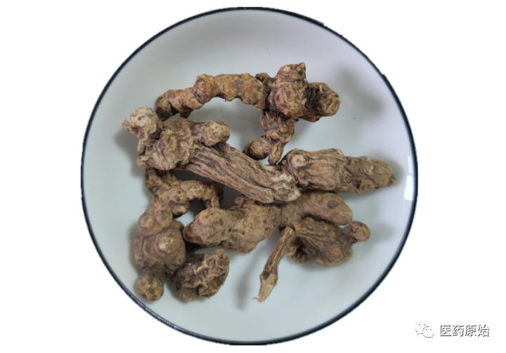 Identifying Atractylodes