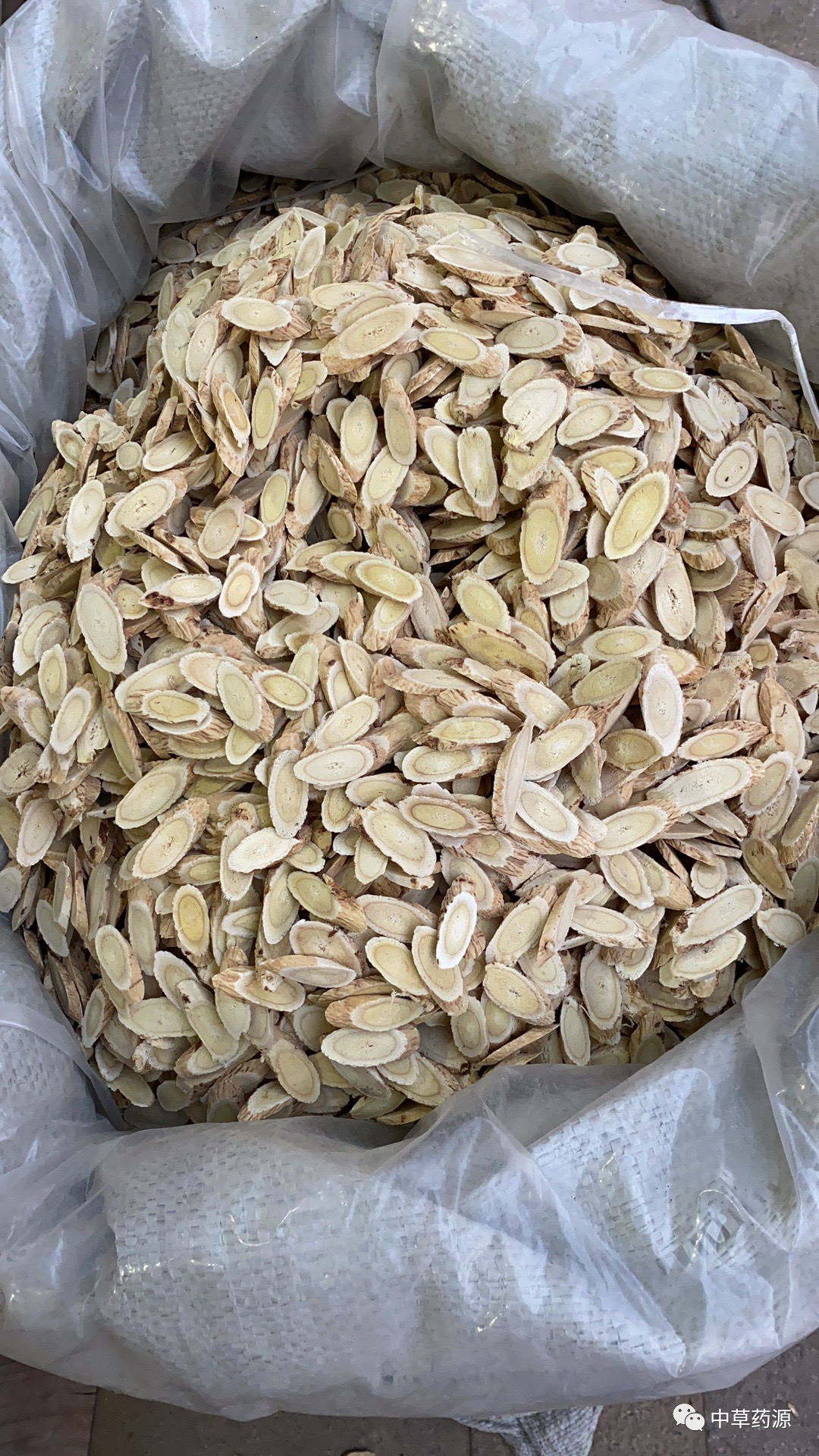 Appreciation of Traditional Chinese Medicine: Huangqi (Astragalus Root)