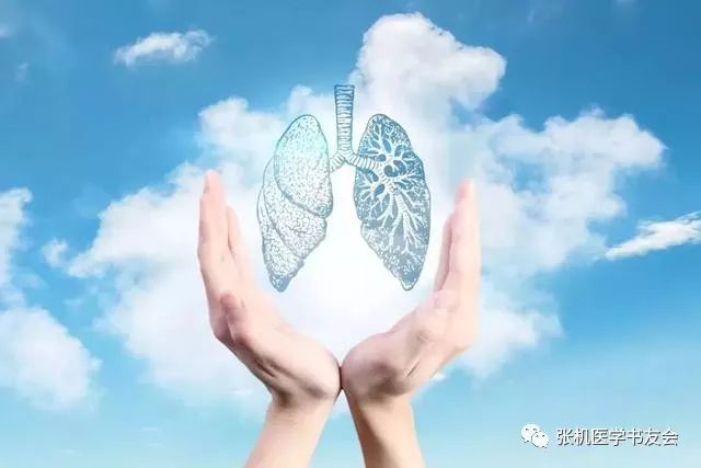 The Official Roles Assigned to the Five Zang and Six Fu Organs in Ancient Chinese Medicine