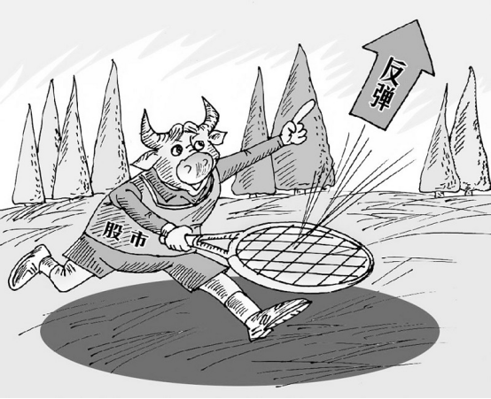 Why Has the Price of Cang Zhu (Atractylodes) Rebounded?