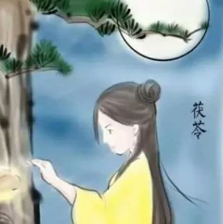 The Timeless Benefits of Fu Ling (Poria) in Traditional Chinese Medicine
