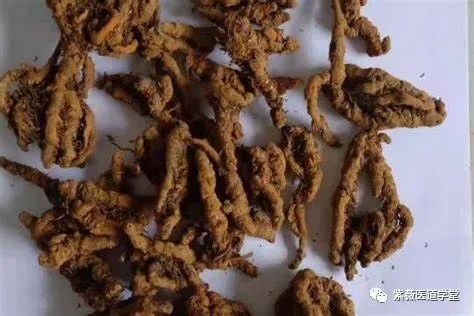 Guide to the Use of Huang Lian (Coptis Chinensis)