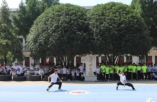 The 23 Palm Techniques of Tai Chi: Infinite Benefits After Mastery!