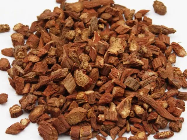 The Efficacy, Nutritional Value, and Precautions of Danshen (Salvia miltiorrhiza)
