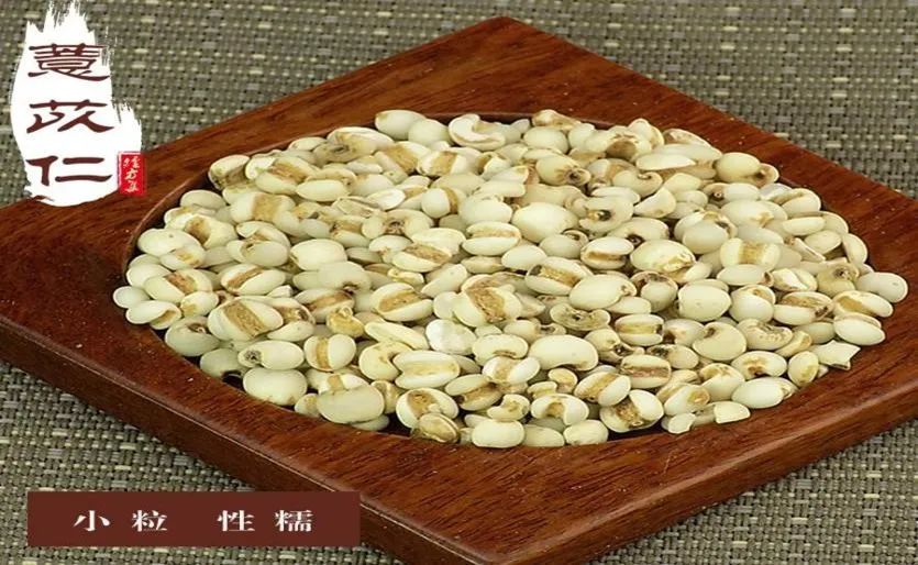 The Charm of Coix Seed | Yiyiren