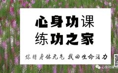 The Principles of Daoyin: Cultivating Body and Mind