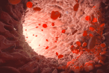 Incorrect Methods of Blood Nourishment May Prevent Pregnancy in Children!