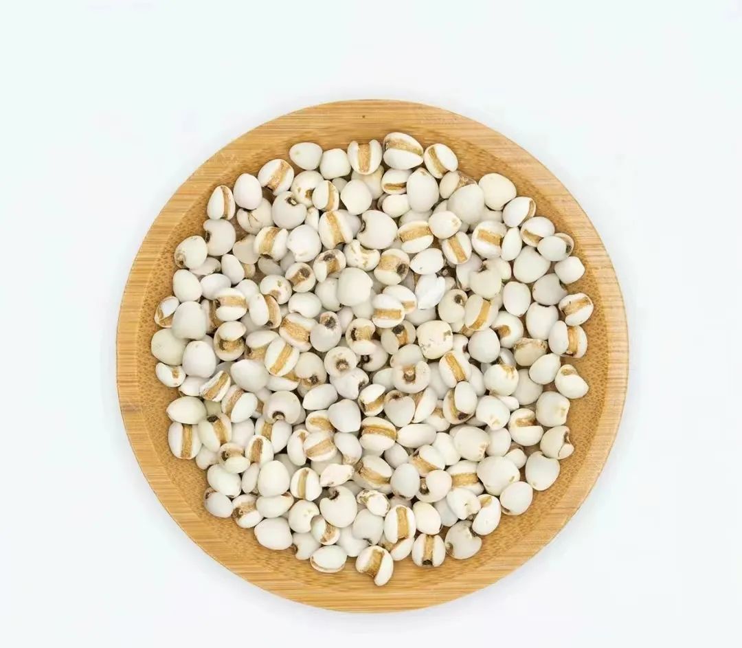 Understanding Coix Seed: The Confusion Between ‘Yi Mi’ and ‘Yi Yi’