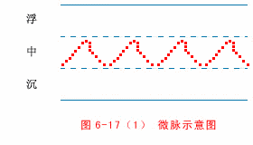 Understanding Pulse Patterns: Xu Mai, Wei Mai, Xi Mai, Dai Mai, and Duan Mai Explained for Everyone