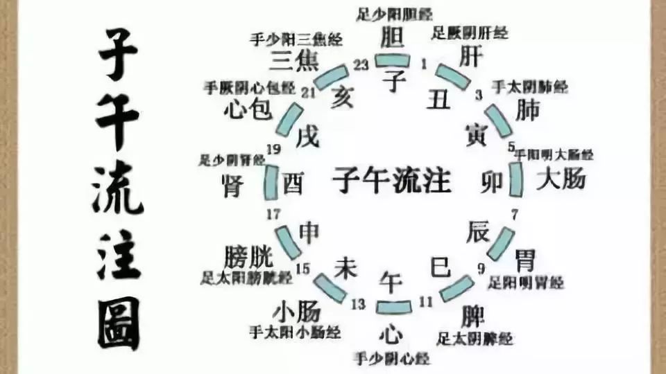 Introduction to the Foundations of Traditional Chinese Medicine: A Clear Overview of the Twelve Meridians Worth Keeping for Ten Years!