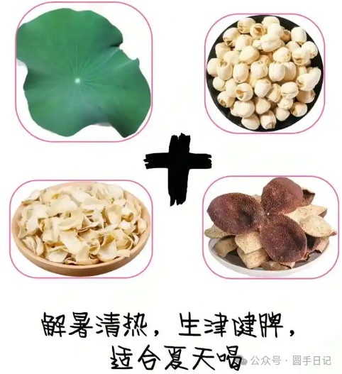 Understanding Summer Heat in Traditional Chinese Medicine