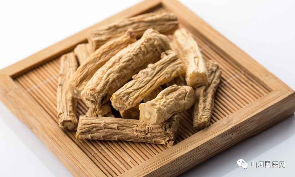 Codonopsis (Dang Shen): A Comprehensive Overview