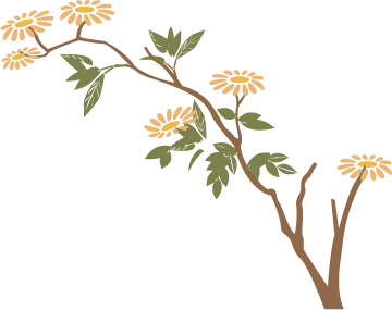 Monthly Herb Spotlight: Cinnamon