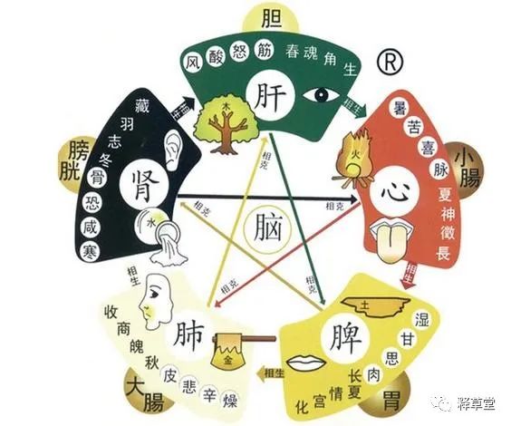 Foundations of Traditional Chinese Medicine: Exterior and Interior Patterns and Their Relationship