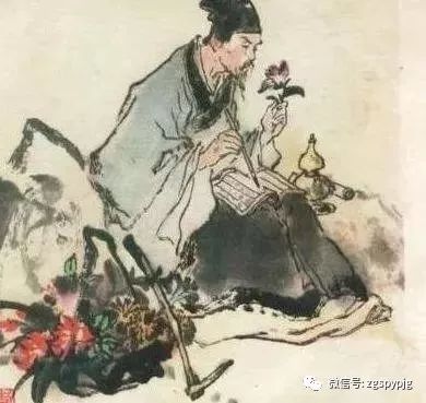 Weekend Digest | The Timeless Materia Medica