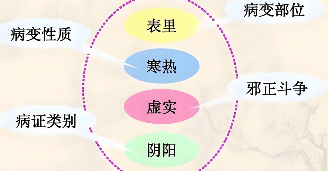 Comprehensive Guide to the Eight Principles of Diagnosis in TCM